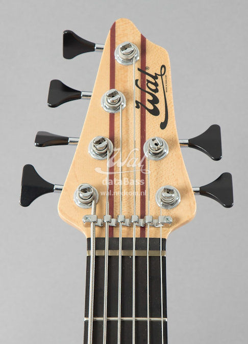 W151029.headstock-front.jpg