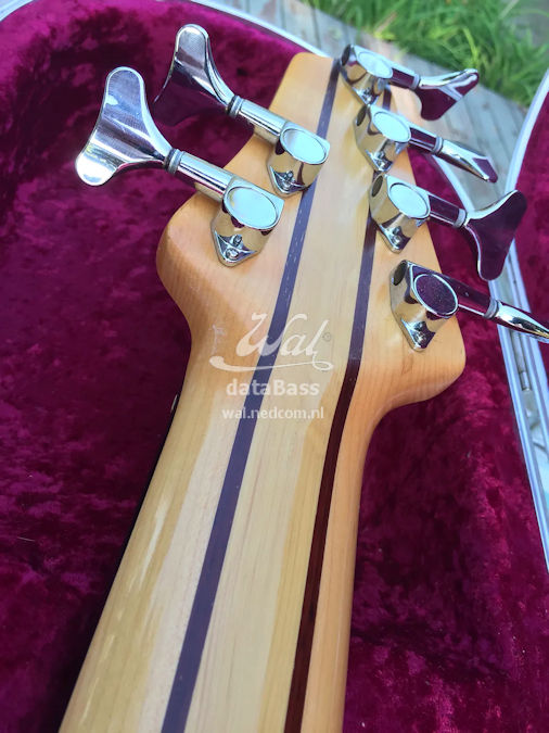 W18296.headstock-rear.jpg