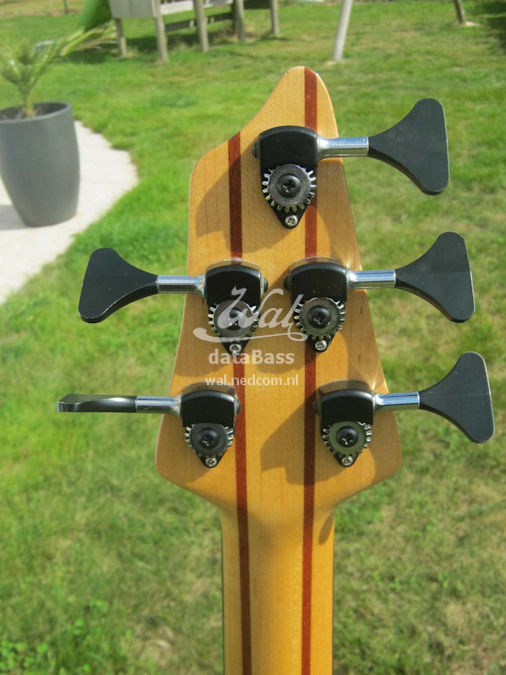 W19598.headstock-rear.jpg