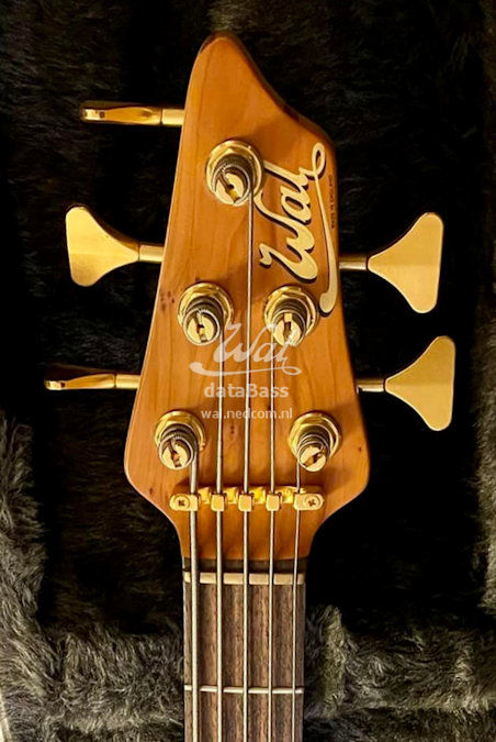 W201102.headstock-front.jpg