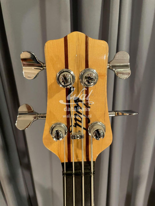 W2029.headstock-front.jpg