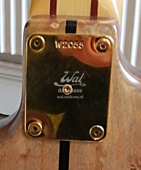 W2055.neckplate.jpg