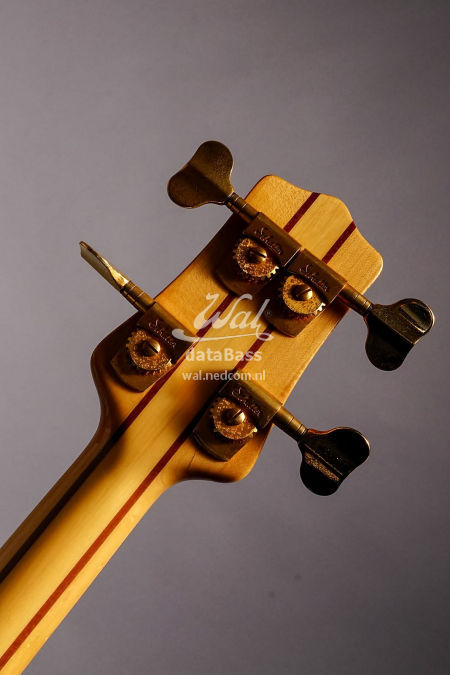 W2102.headstock-rear.jpg