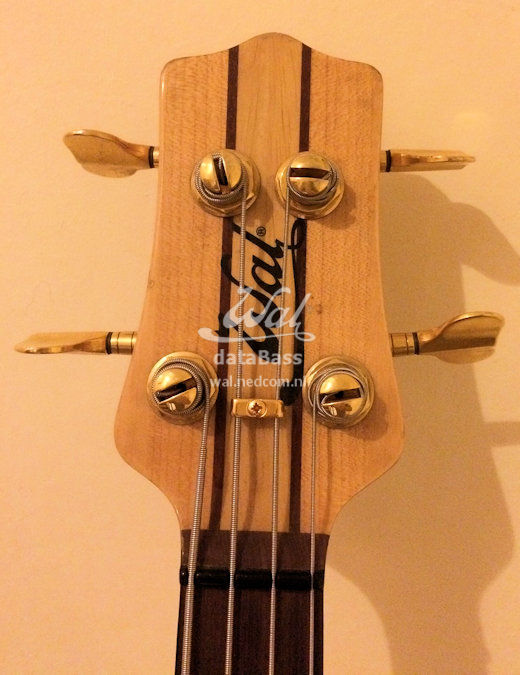 W2104.headstock-front.jpg