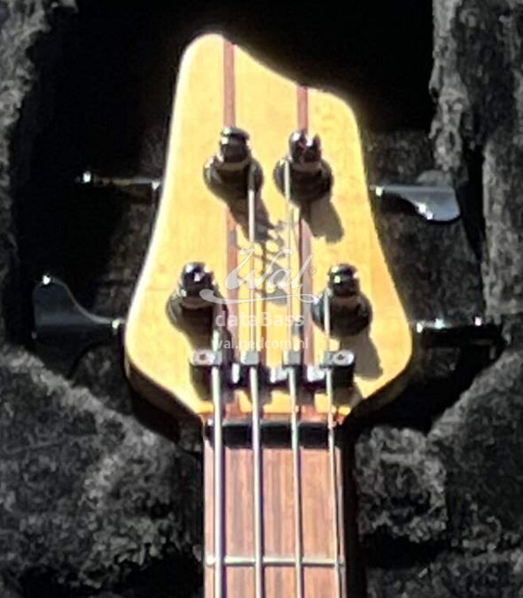 W211098.headstock-front.jpg