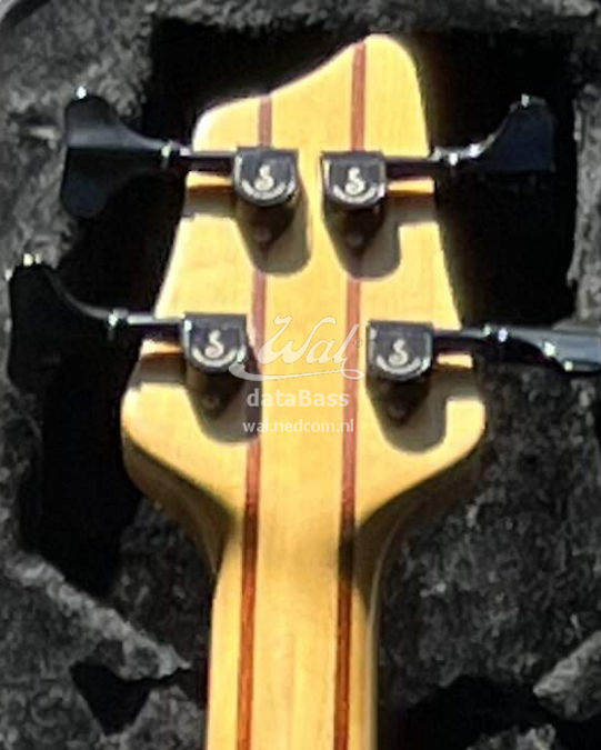 W211098.headstock-rear.jpg