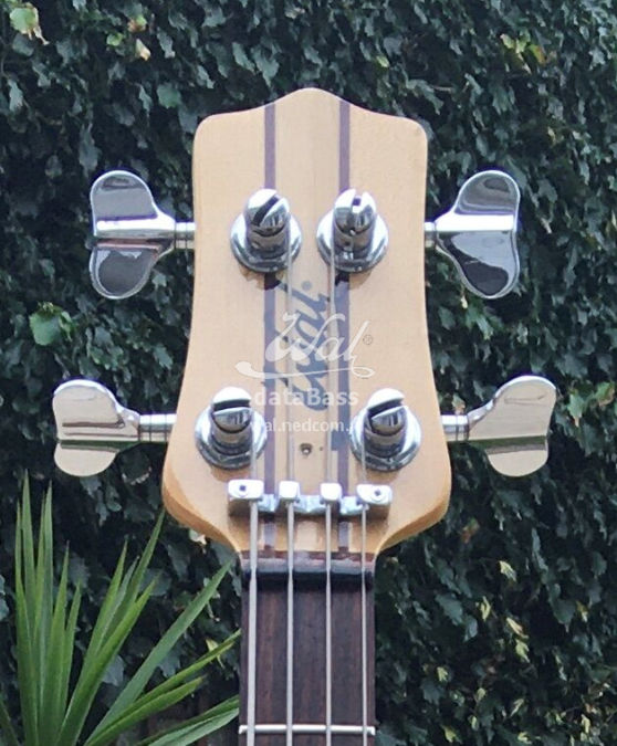 W2142.headstock-front.jpg