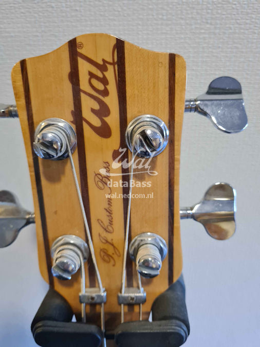 W2144.headstock-front.jpg