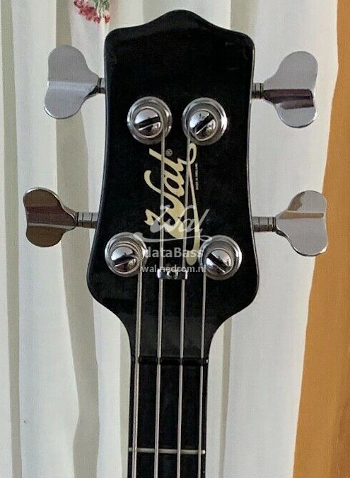 W2145.headstock-front.jpg