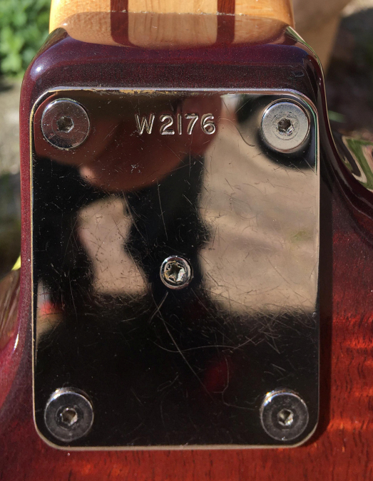 W2176.neckplate.jpg