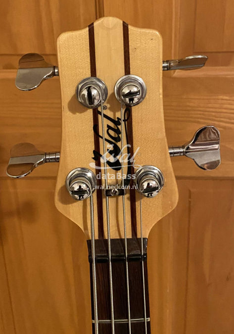 W2265.headstock-front.jpg