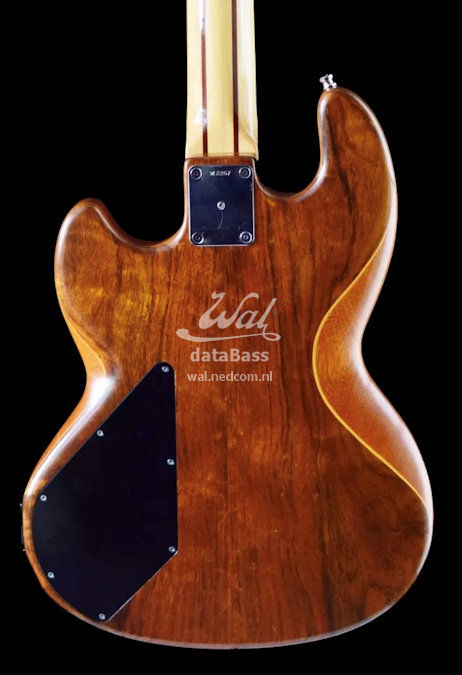 W2267.body-rear.jpg