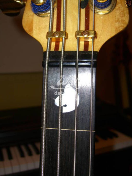 W2284.fretboard-detail.jpg