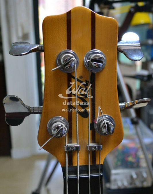 W2354.headstock.jpg