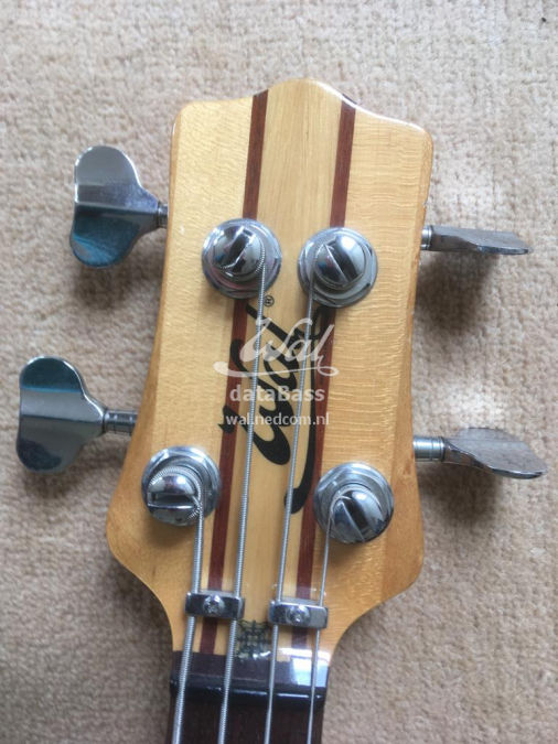 W2376.headstock-front.jpg