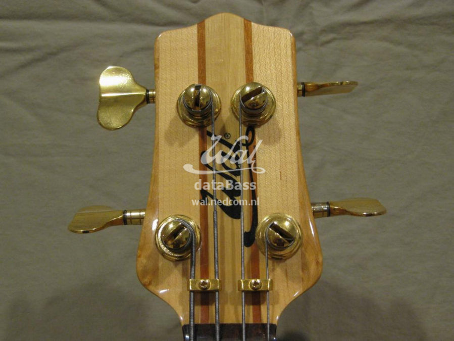 W2384.headstock-front.jpg