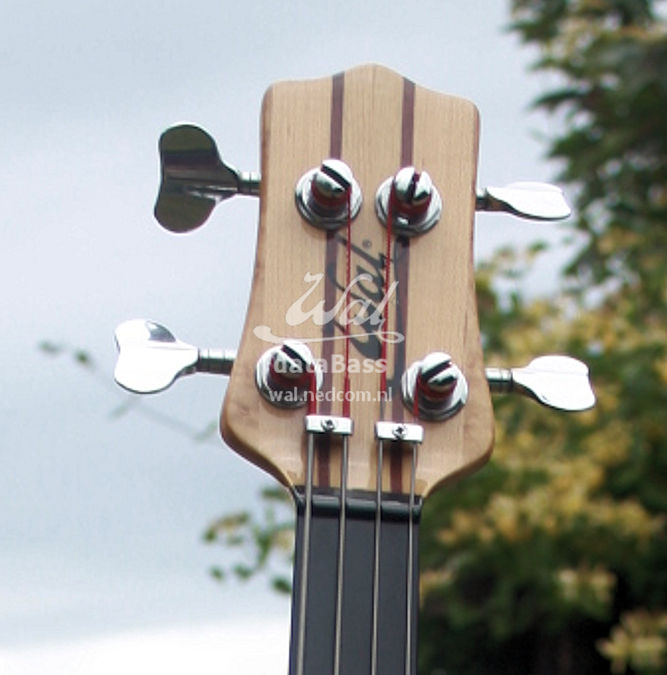 W2392.headstock-front.jpg