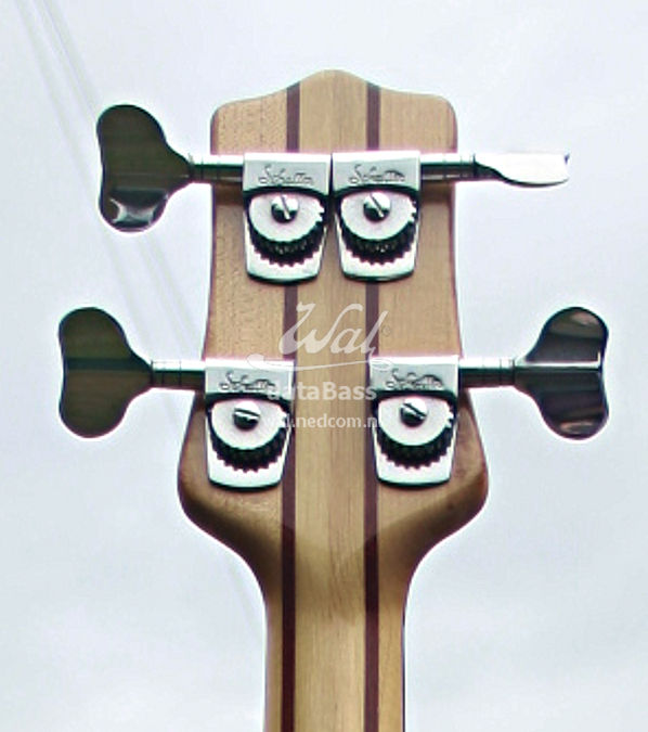 W2392.headstock-rear.jpg