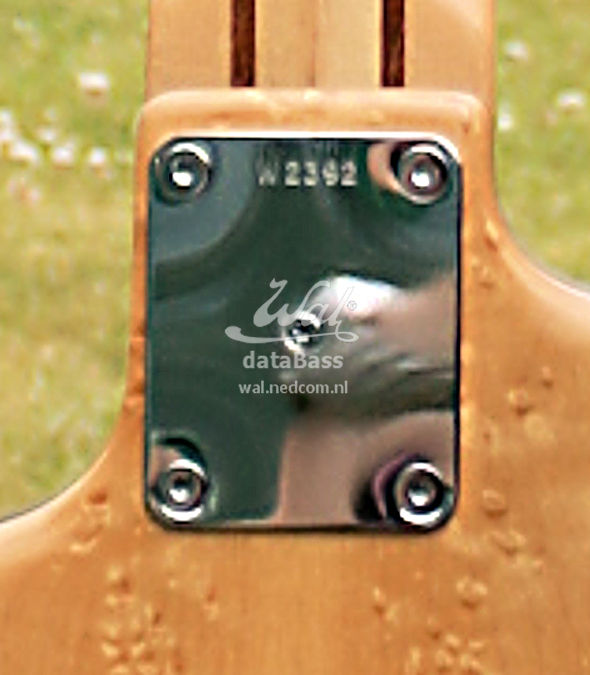 W2392.neckplate.jpg