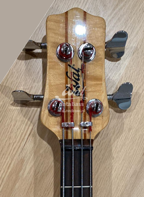 W2401.headstock-front.jpg