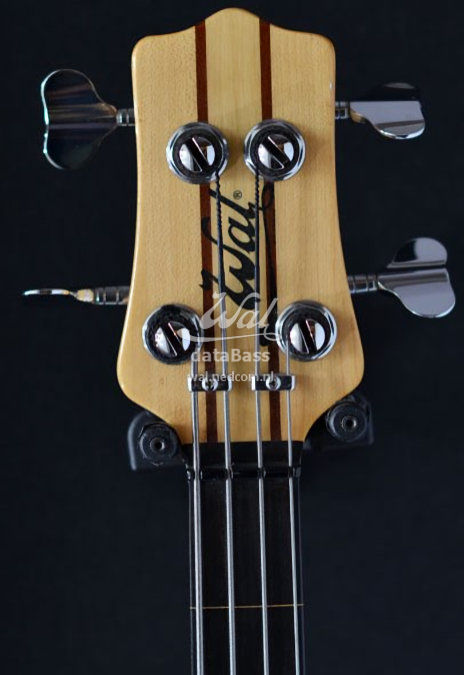 W2454.headstock-front.jpg