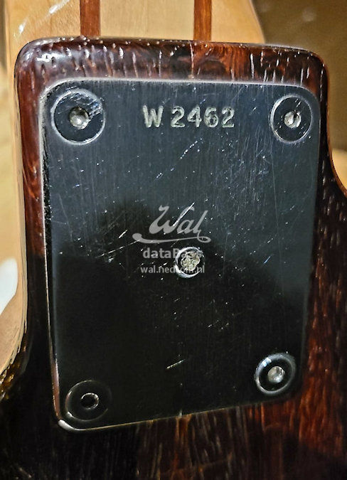 W2462.neckplate.jpg