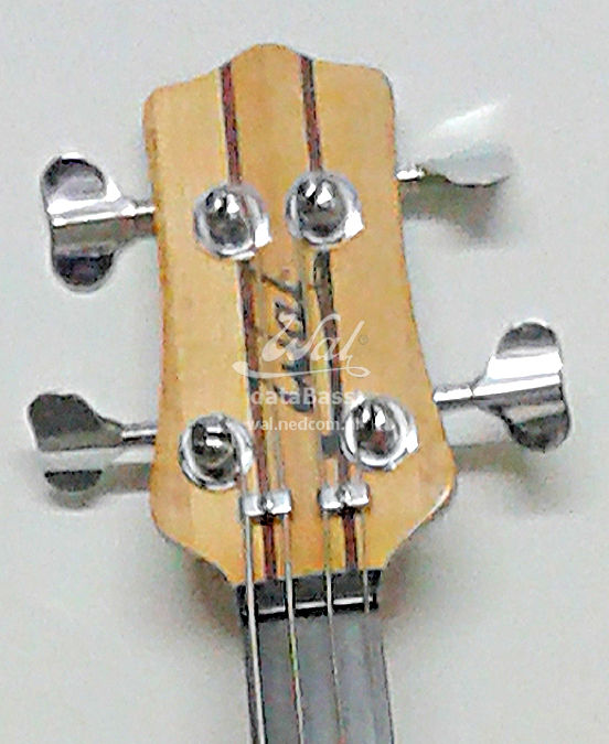 W2487.headstock-front.jpg