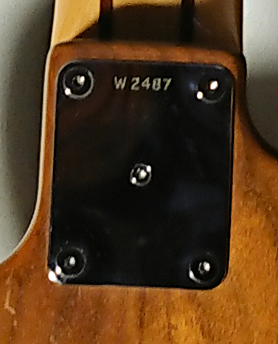 W2487.neckplate.jpg