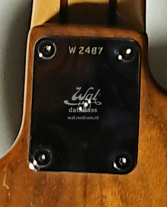 W2487.neckplate.jpg