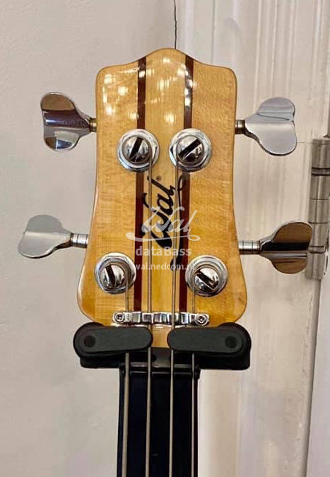 W2499.headstock.jpg