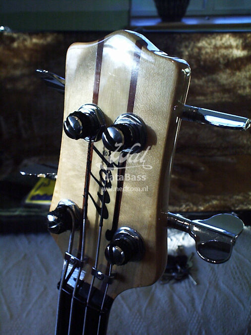 W2500.headstock-front.jpg