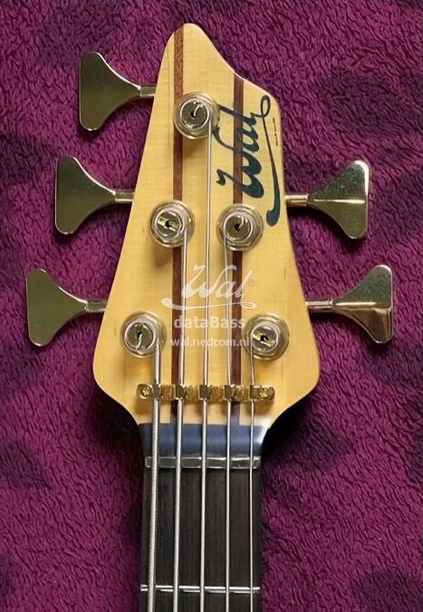 W250601.headstock-front.jpg