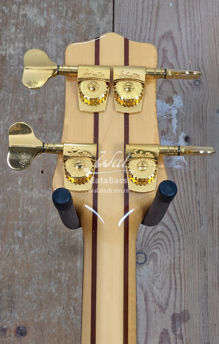 W2516.headstock-rear.jpg