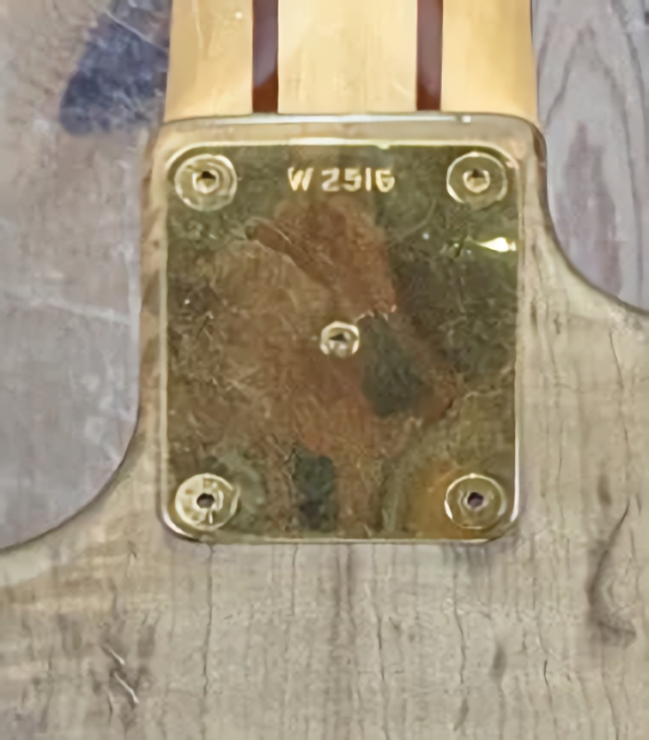 W2516.neckplate.jpg