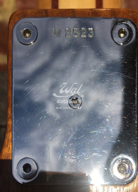 W2523.neckplate.jpg