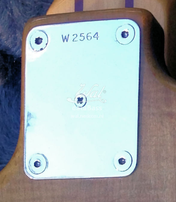 W2564.neckplate.jpg