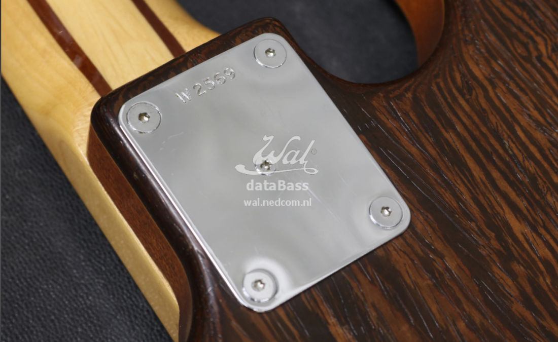 W2569.neckplate.jpg