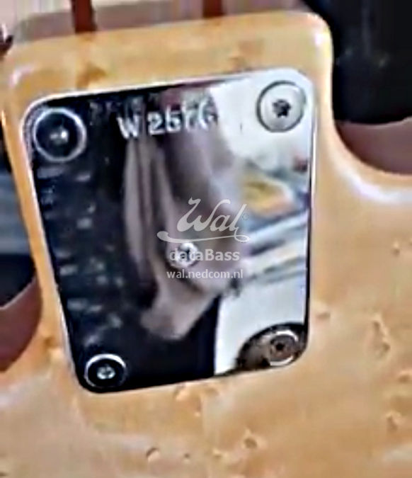 W2576.neckplate.jpg