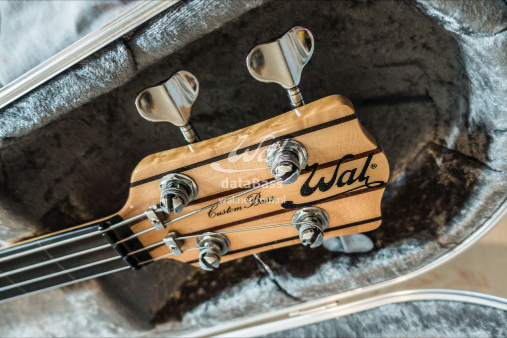 W2591.headstock-in-case.jpg