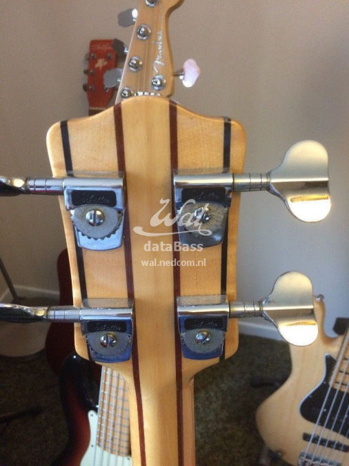 W2591.headstock-rear.jpg