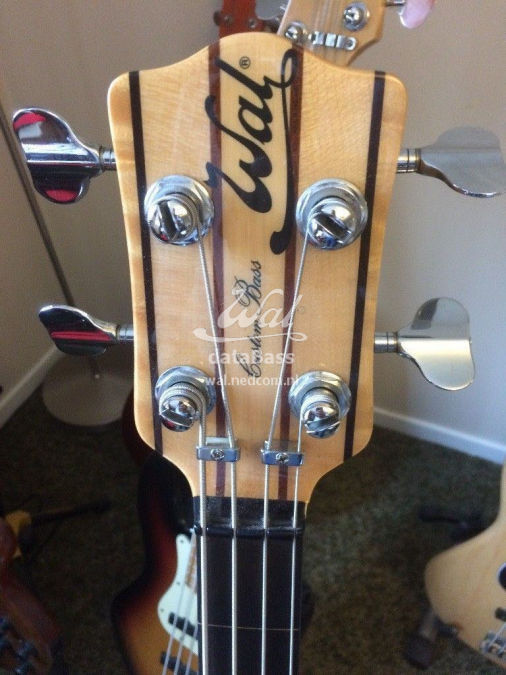 W2591.headstock.jpg