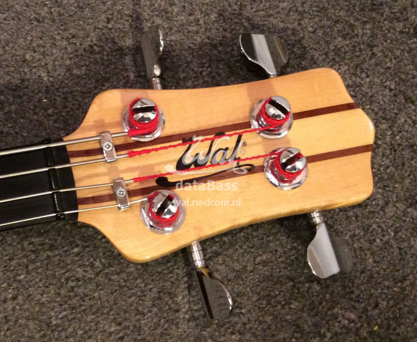 W2597.headstock-front.jpg