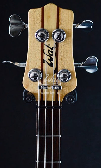 W2636.headstock-front.jpg