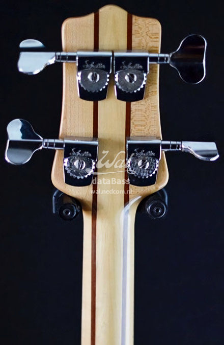 W2636.headstock-rear.jpg