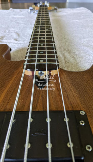 W2638.fretboard.jpg