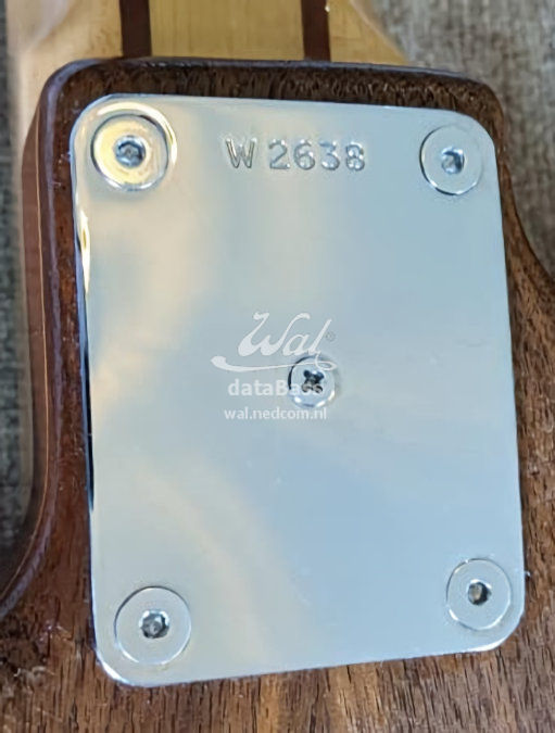 W2638.neckplate.jpg