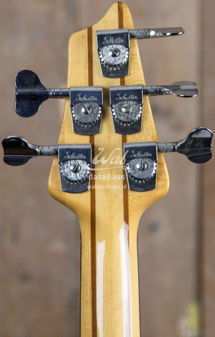 W2683.headstock-rear.jpg