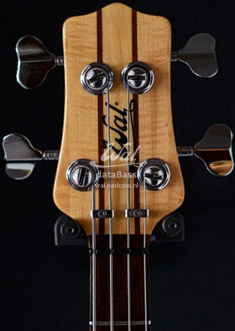 W2689.headstock-front.jpg