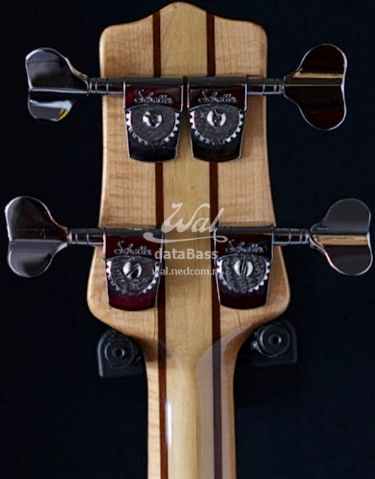 W2689.headstock-rear.jpg