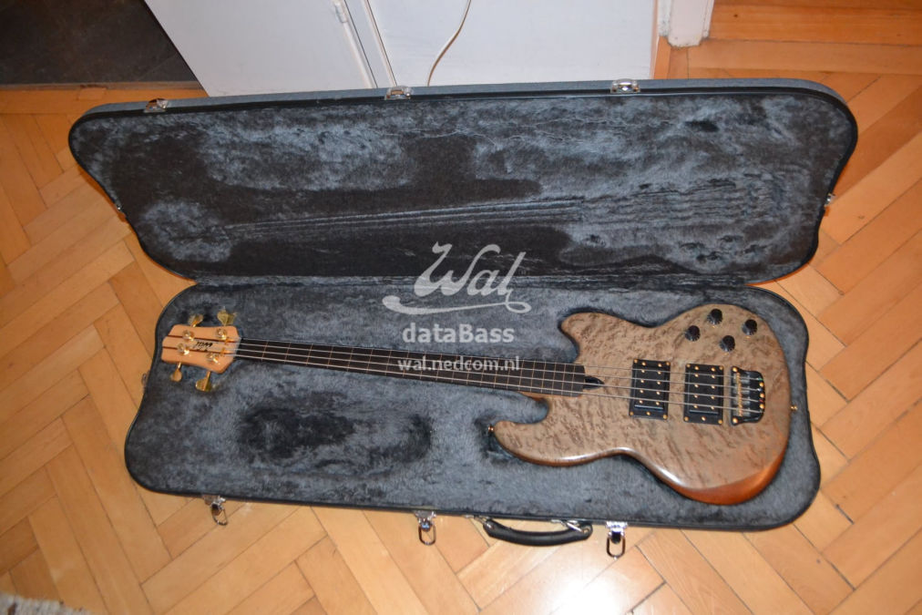 W2693.in-case.jpg